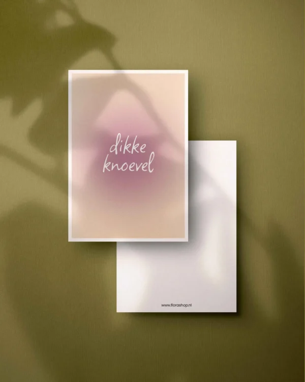 Wenskaarten in 't plat - set van 8